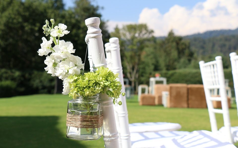 Planta de decoración de sillas de la boda