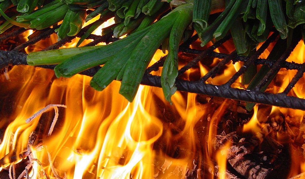 Calçots en la brasa