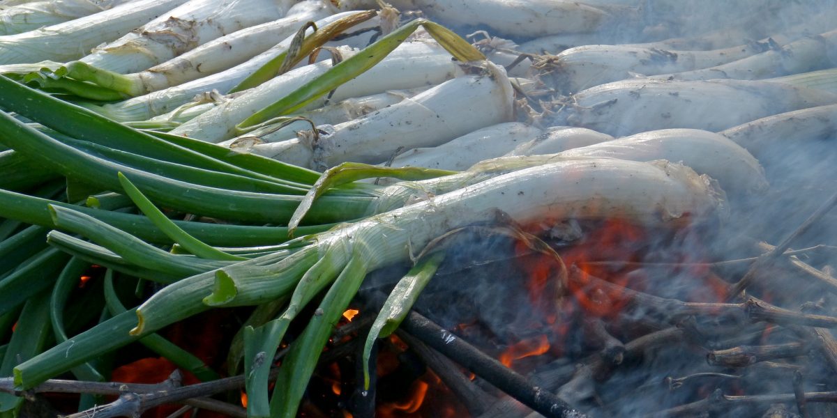 Calçots en la brasa