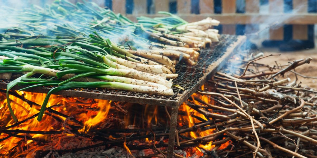 Calçots en una brasa