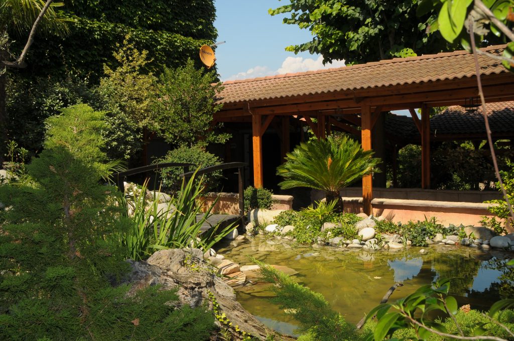 Puente pequeño sobre agua