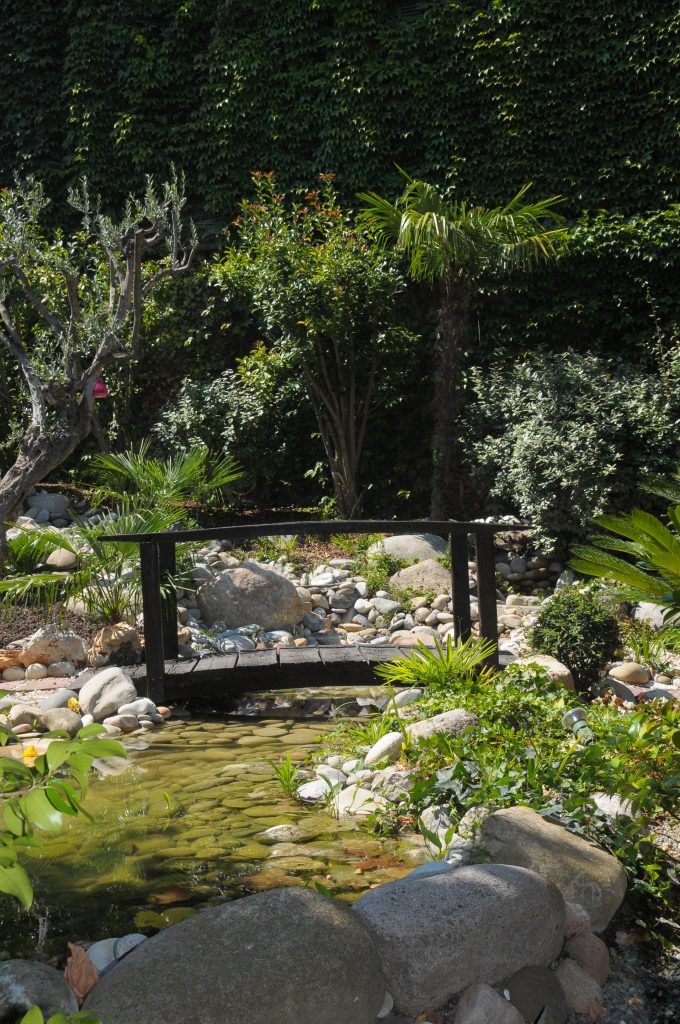 Puente pequeño sobre rio