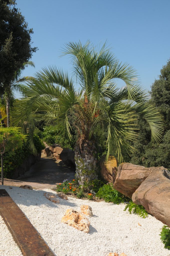 Eventos para empresas y particulares aire libre restaurante banquetes