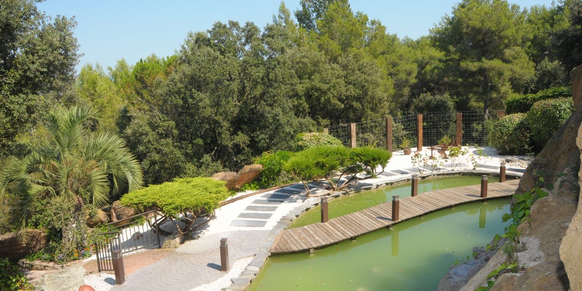 bautizos bodas comuniones restaurante banquetes