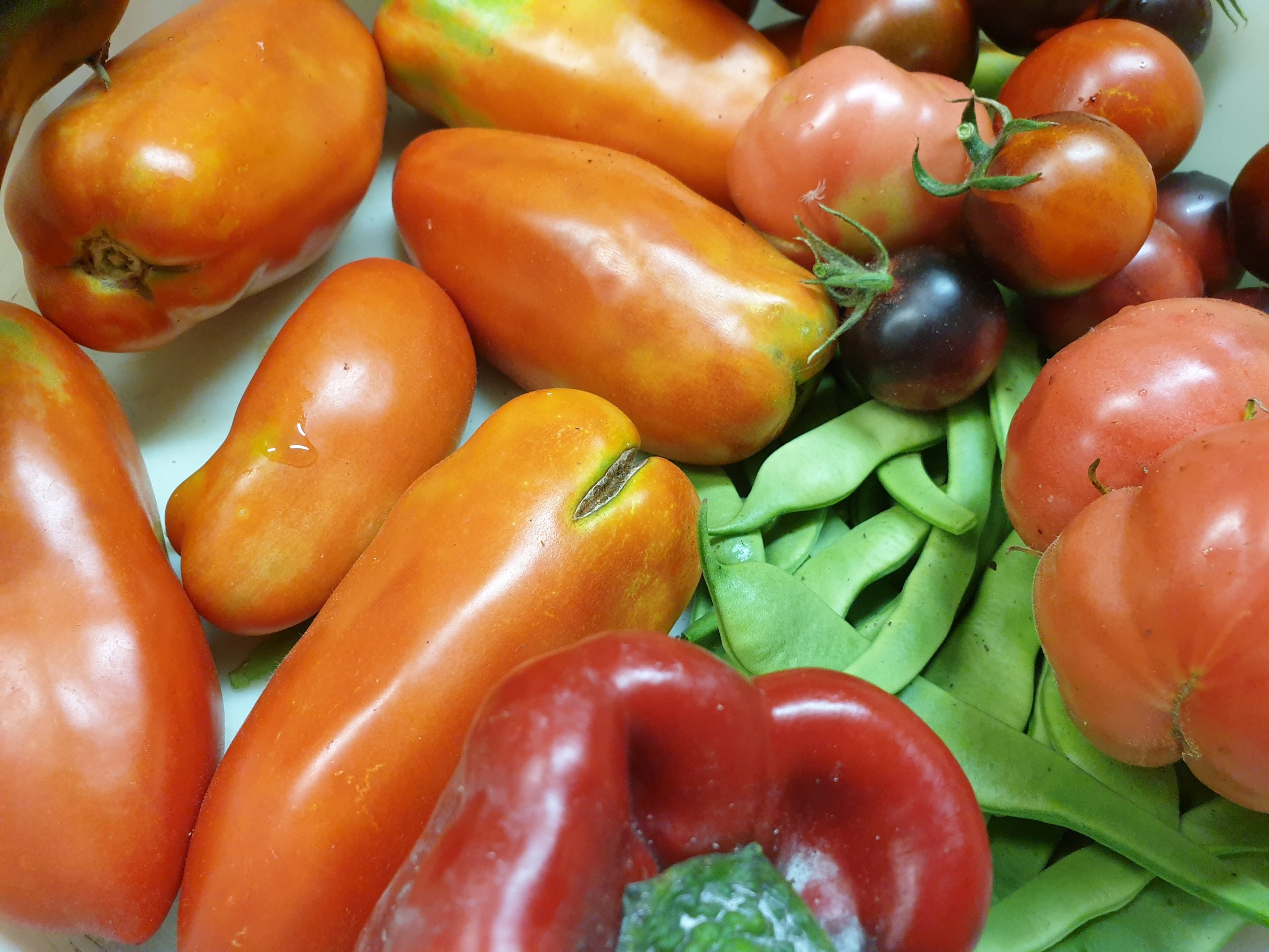 Tomates