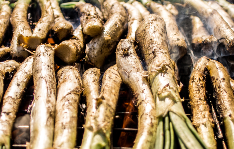 Calçots a la brasa