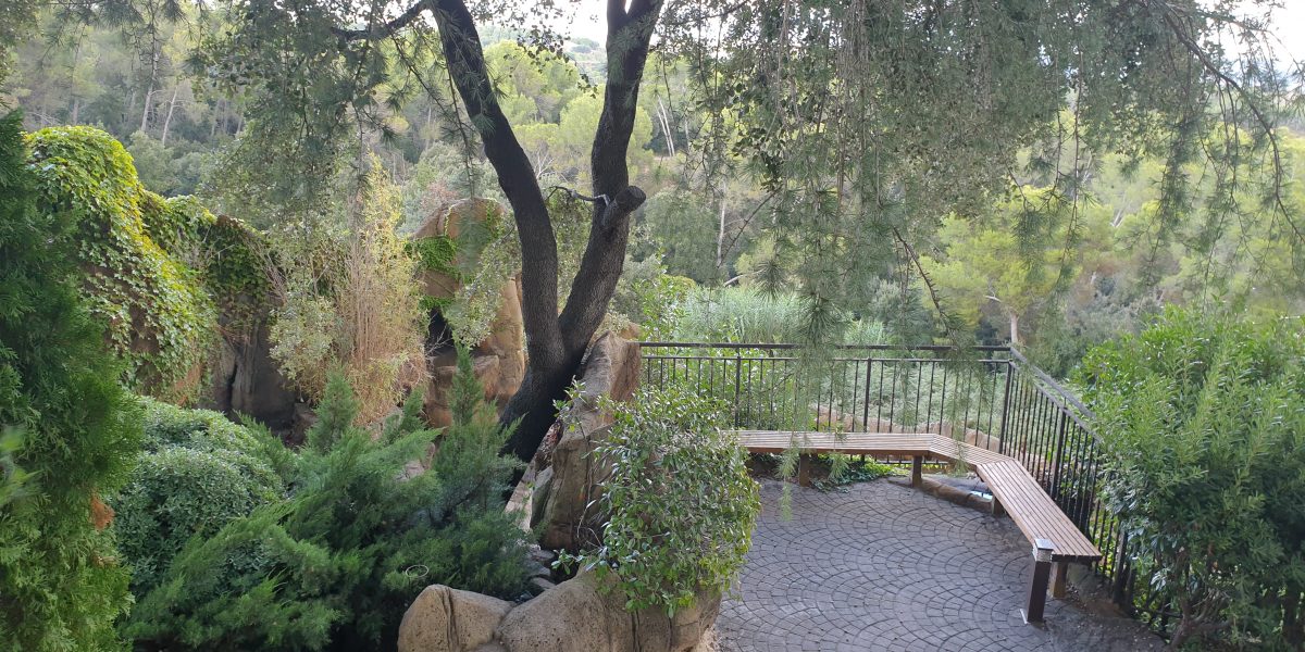 Jardín exterior con plantas y un banco