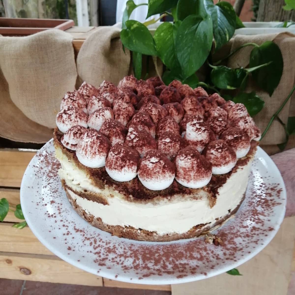 Tarta de bizcocho con nata y cacao por encima