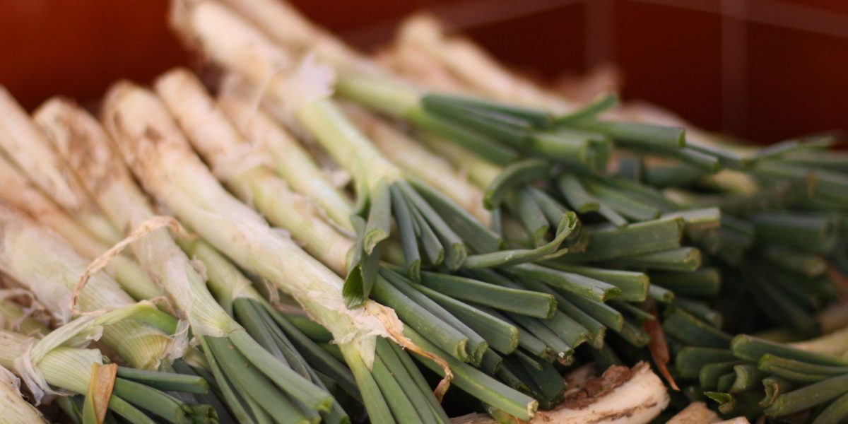 Come calçots de calidad en Terrassa en nuestro restaurante
