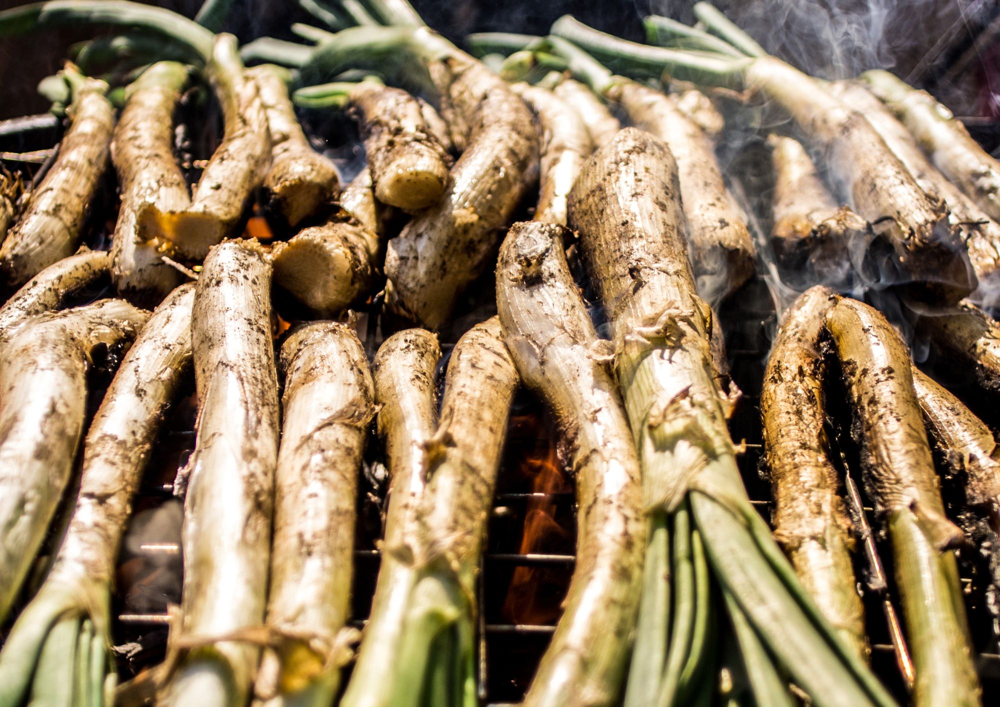 Si te gustan los calçots has llegado al sitio adecuado