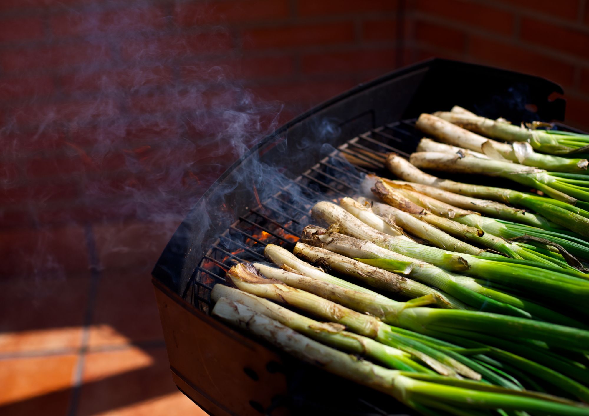 Cocinando los calçots en Terrassa 