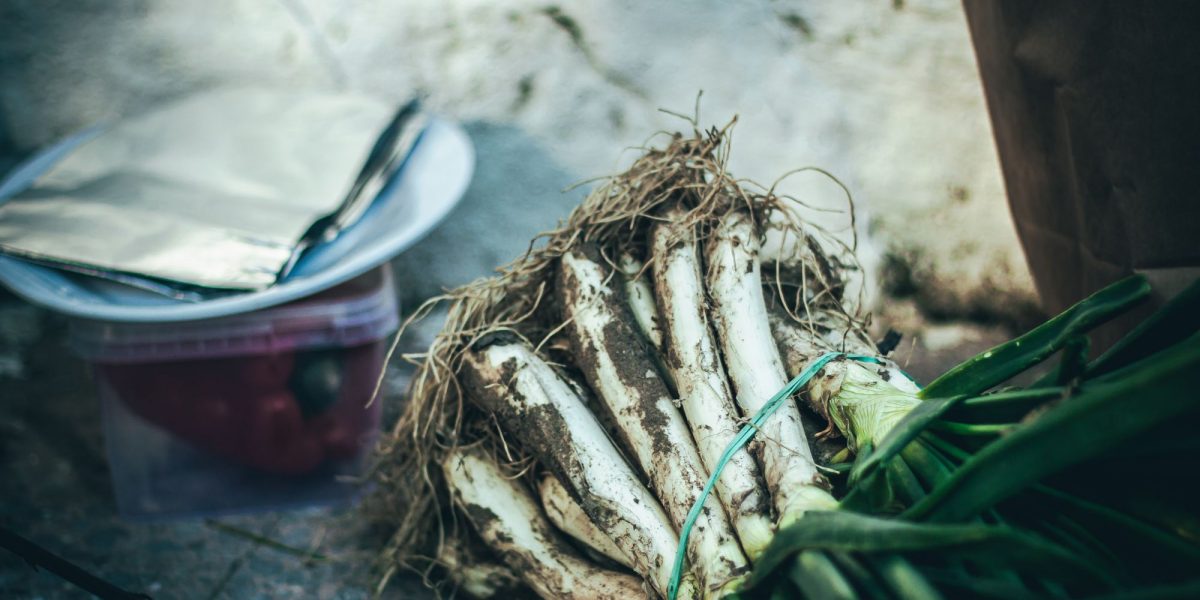 Si te gustan los calçots ven a nuestro restaurante a hacer una calçotada