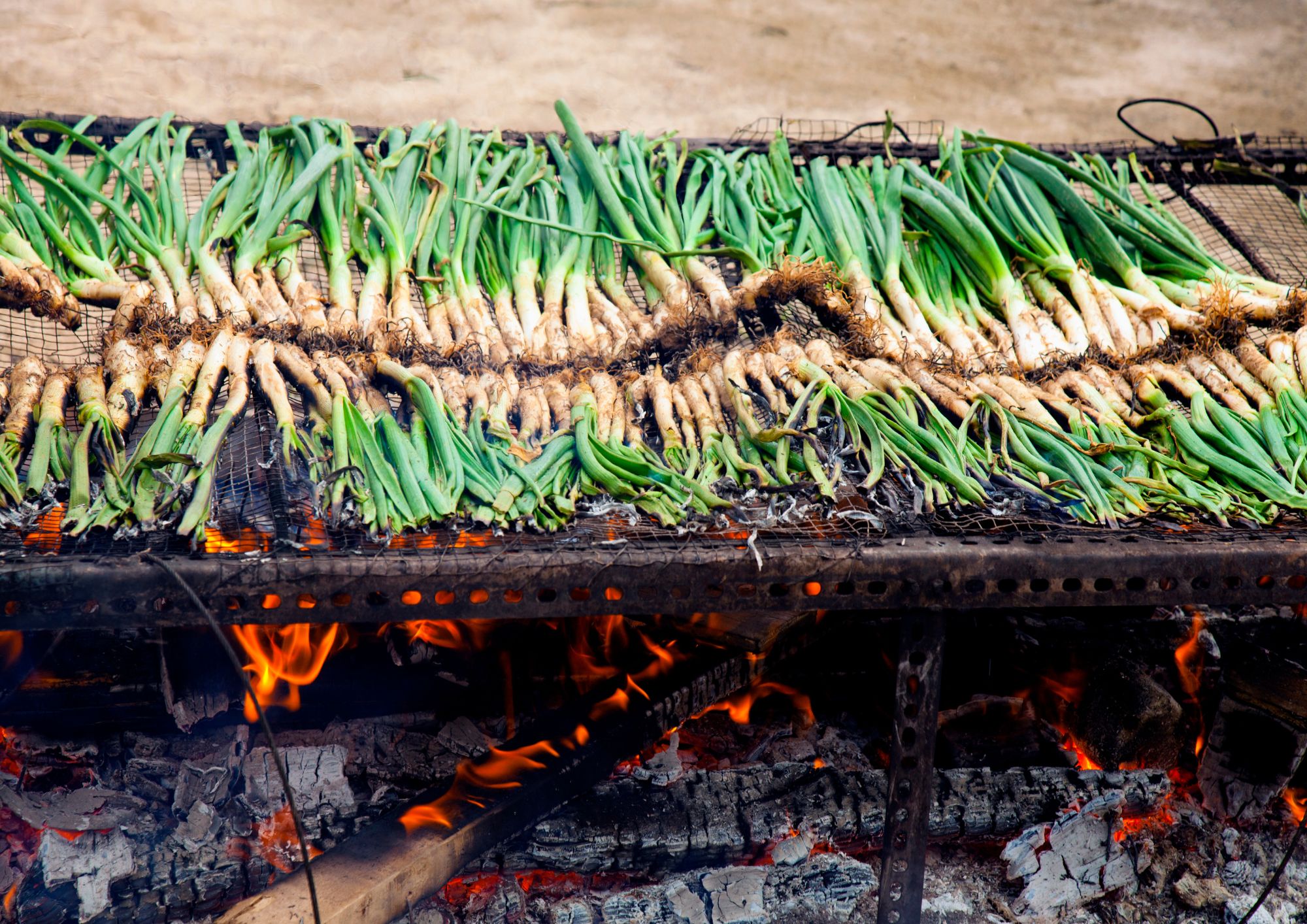 Si os gustan los calçots ven ha nuestra calçotada en Terrassa