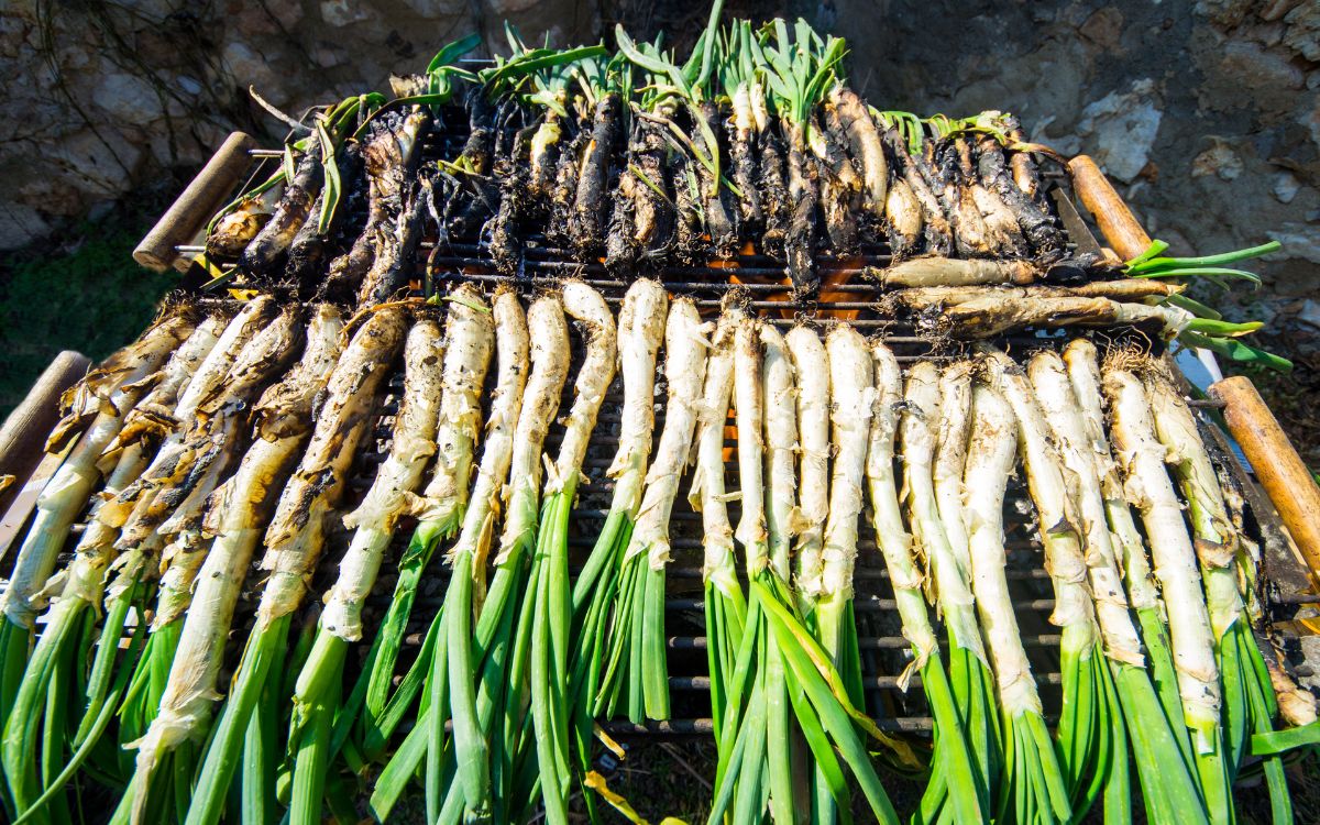calçots