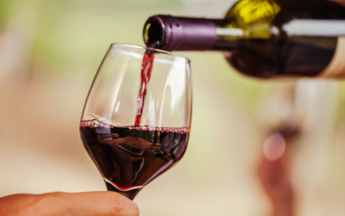 vino