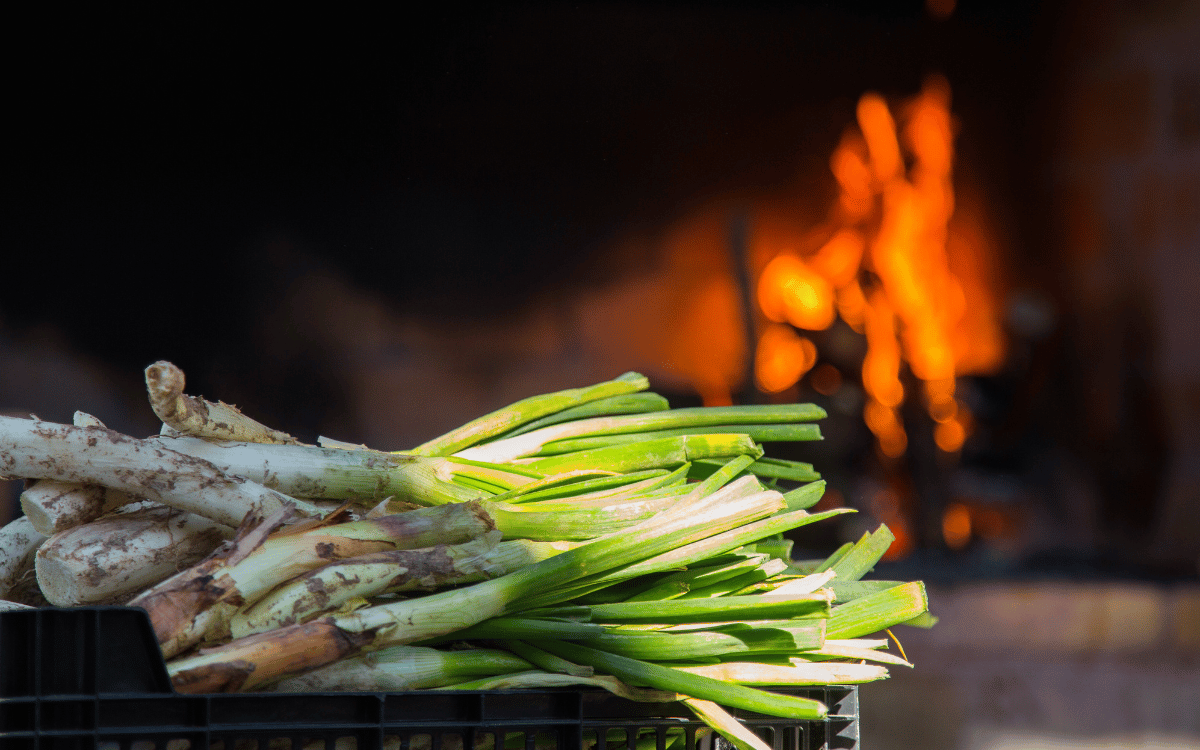 Restaurante de calçots